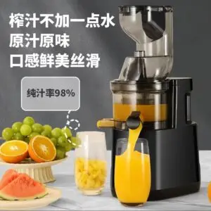 High Quality Slow Juicer