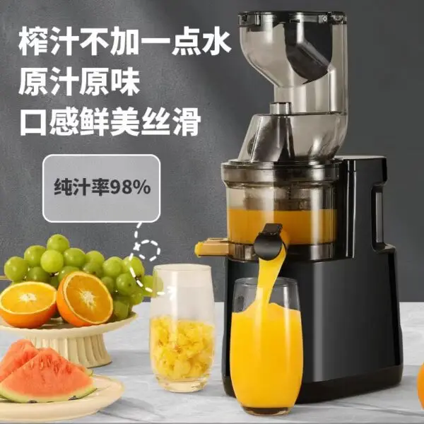 High Quality Slow Juicer