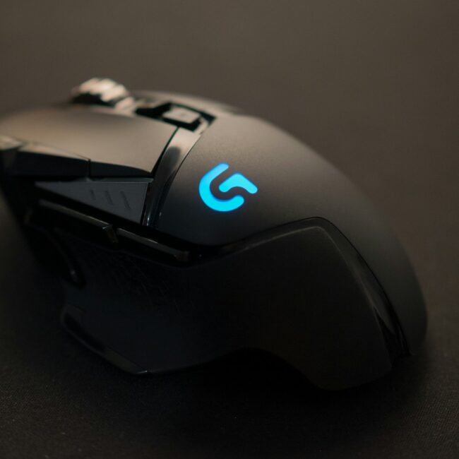 Mouse