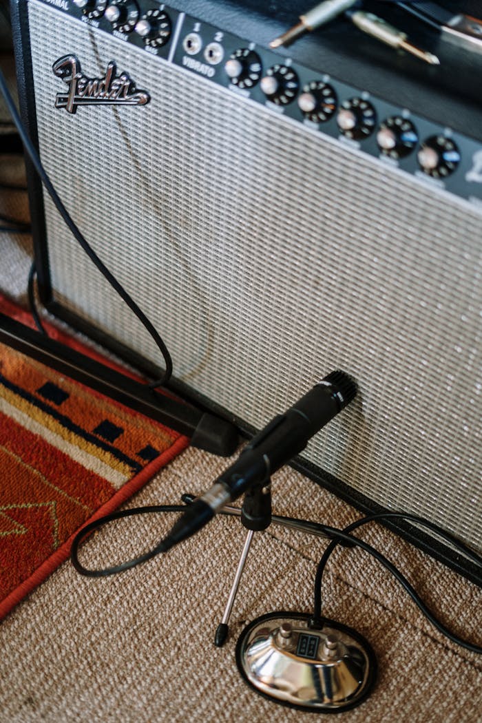 our-experience Close-up of a microphone and amplifier setup in a cozy home music studio.